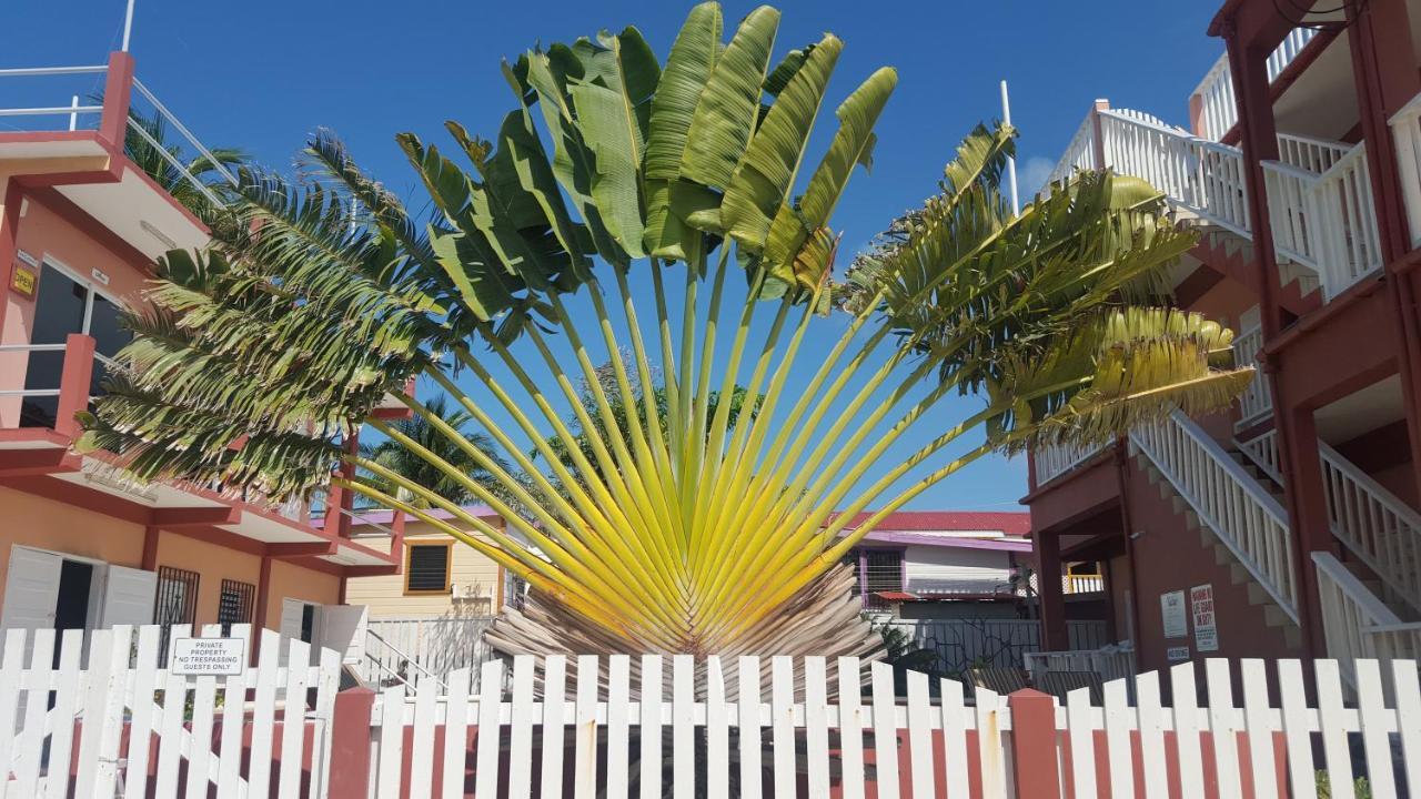 Caye Caulker Condos Exterior foto